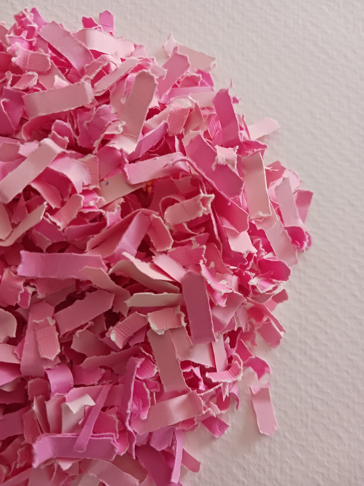 Celebration Capsule | Petal Pinks | Confetti
