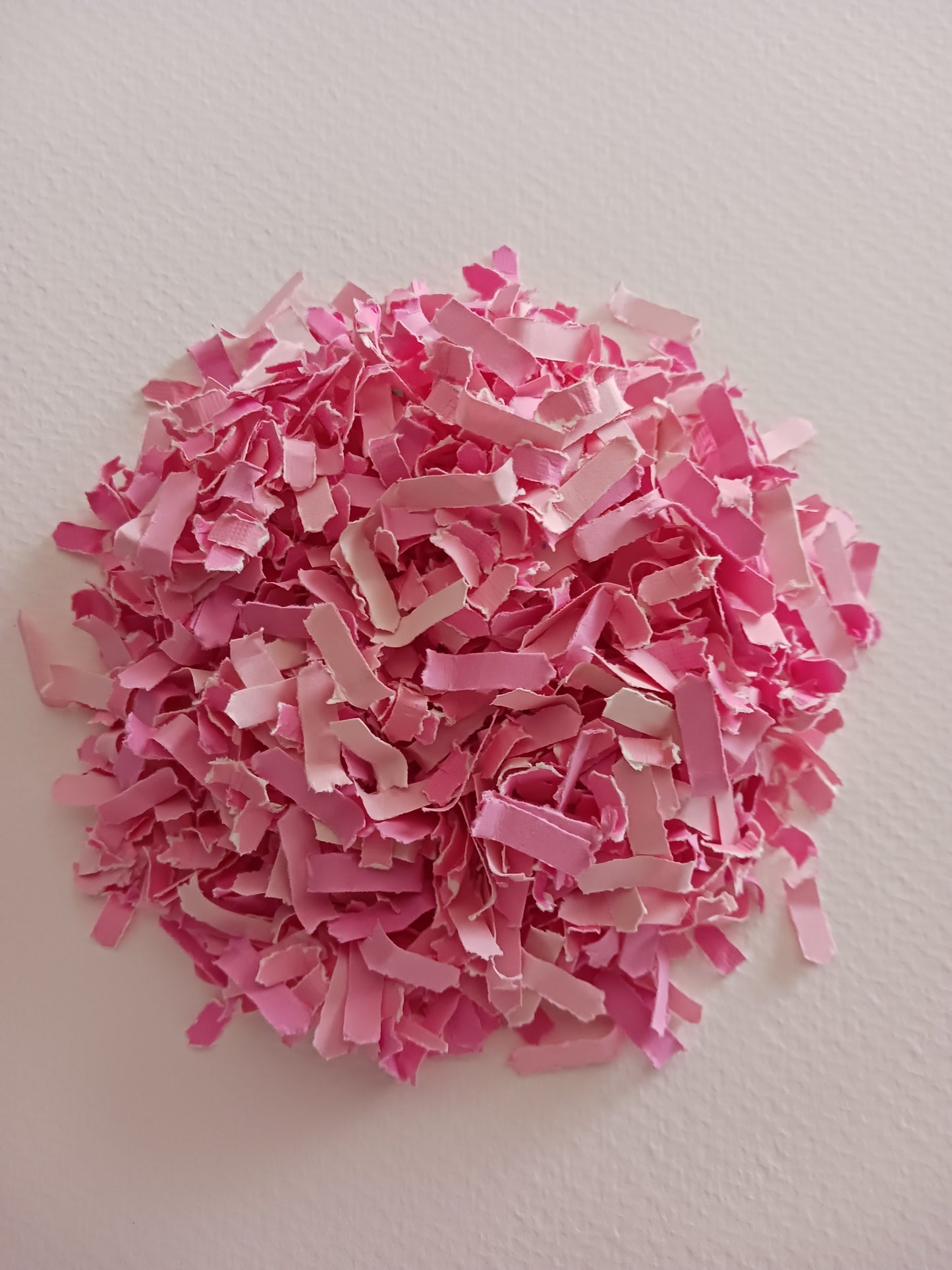 Celebration Capsule  | Petal Pinks | Confetti