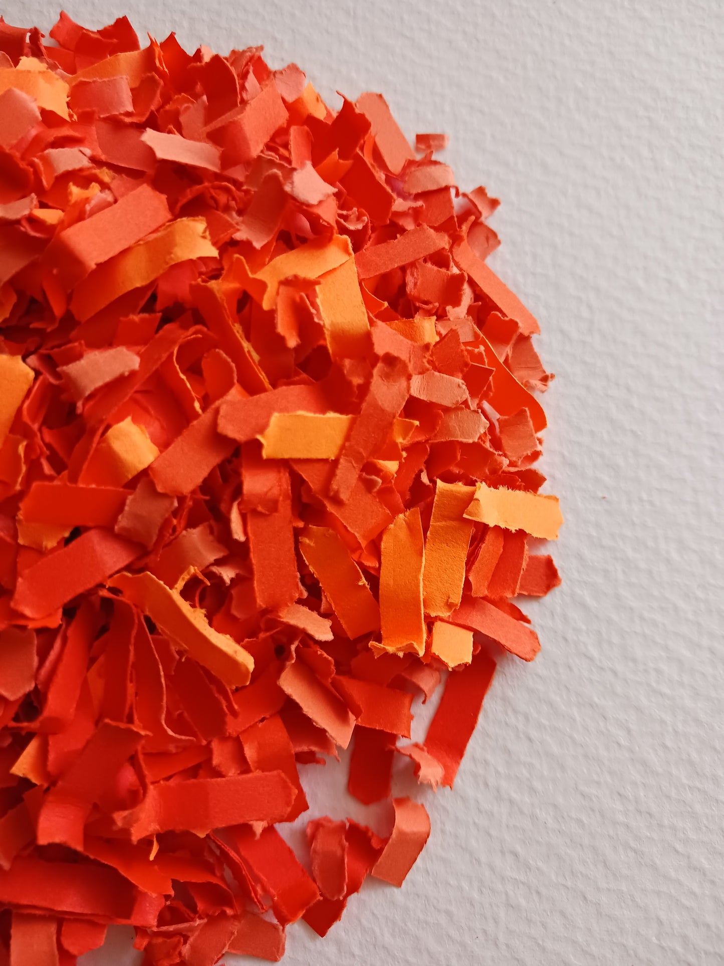 Celebration Capsule  | Optimistic Orange | Confetti