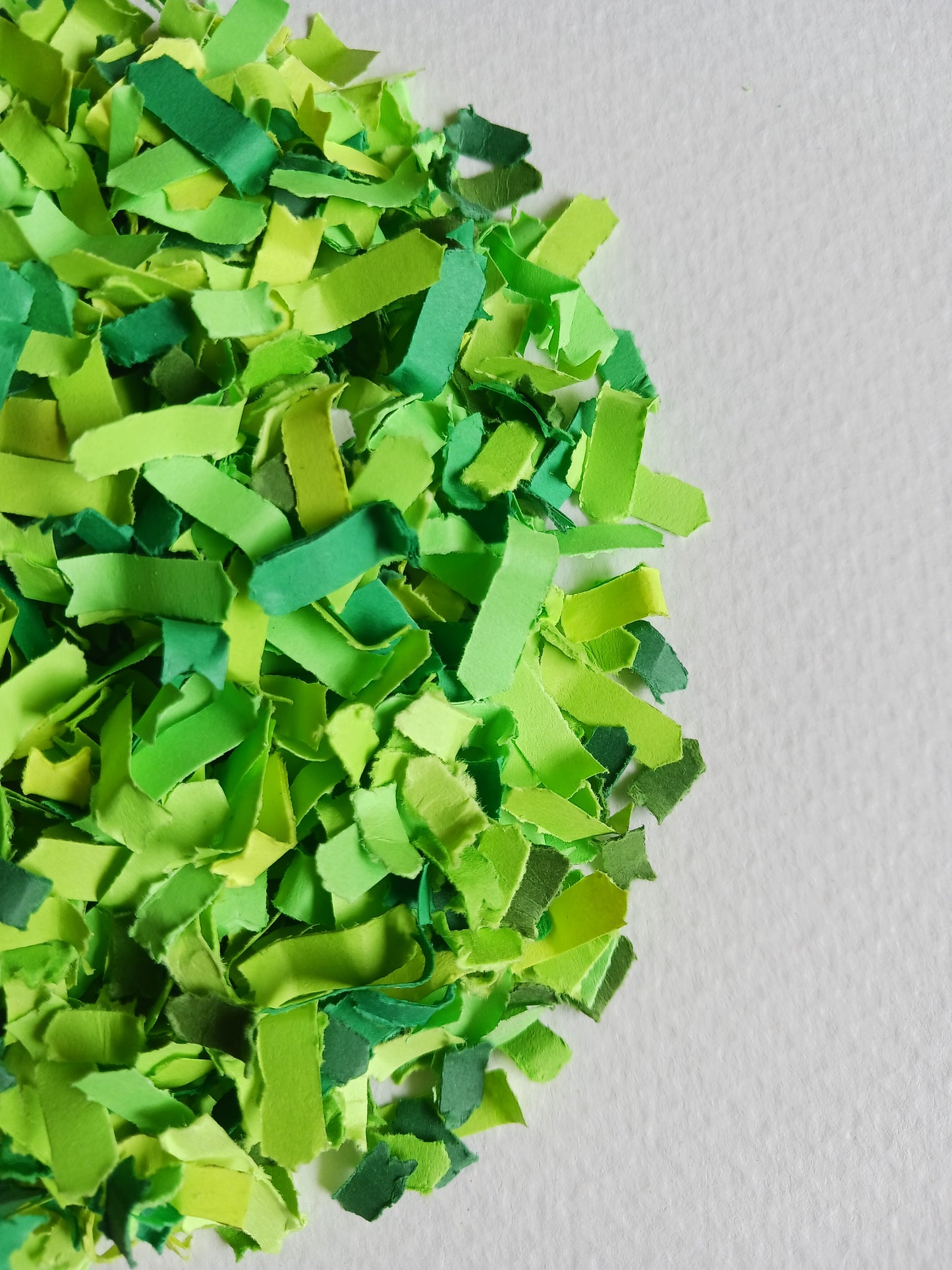 Celebration Capsule | Grateful Green | Confetti
