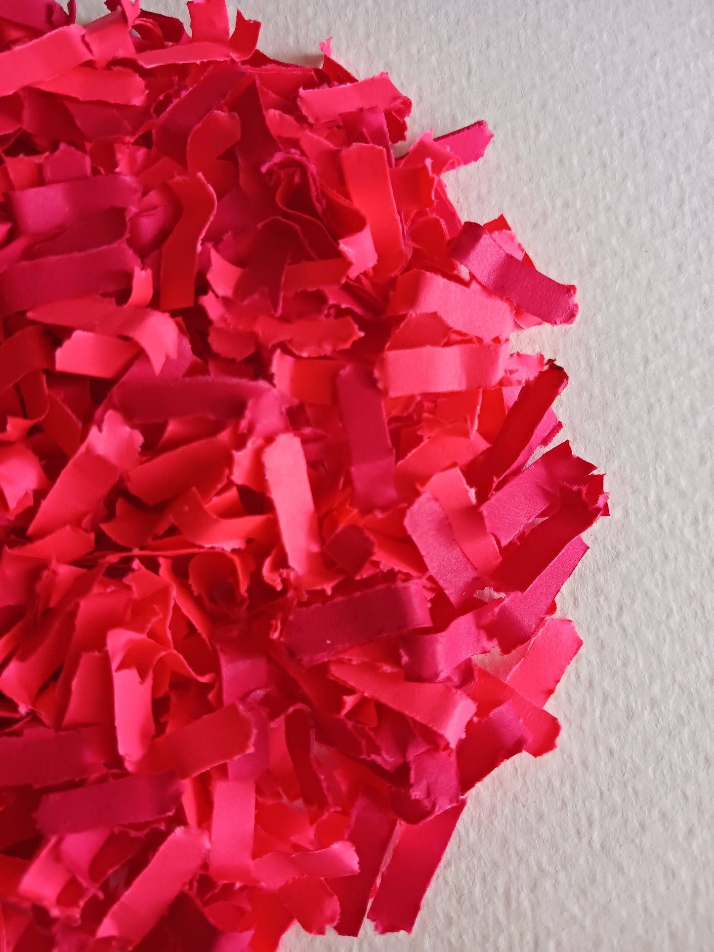 Celebration Capsule  |  Radiant Reds | Confetti