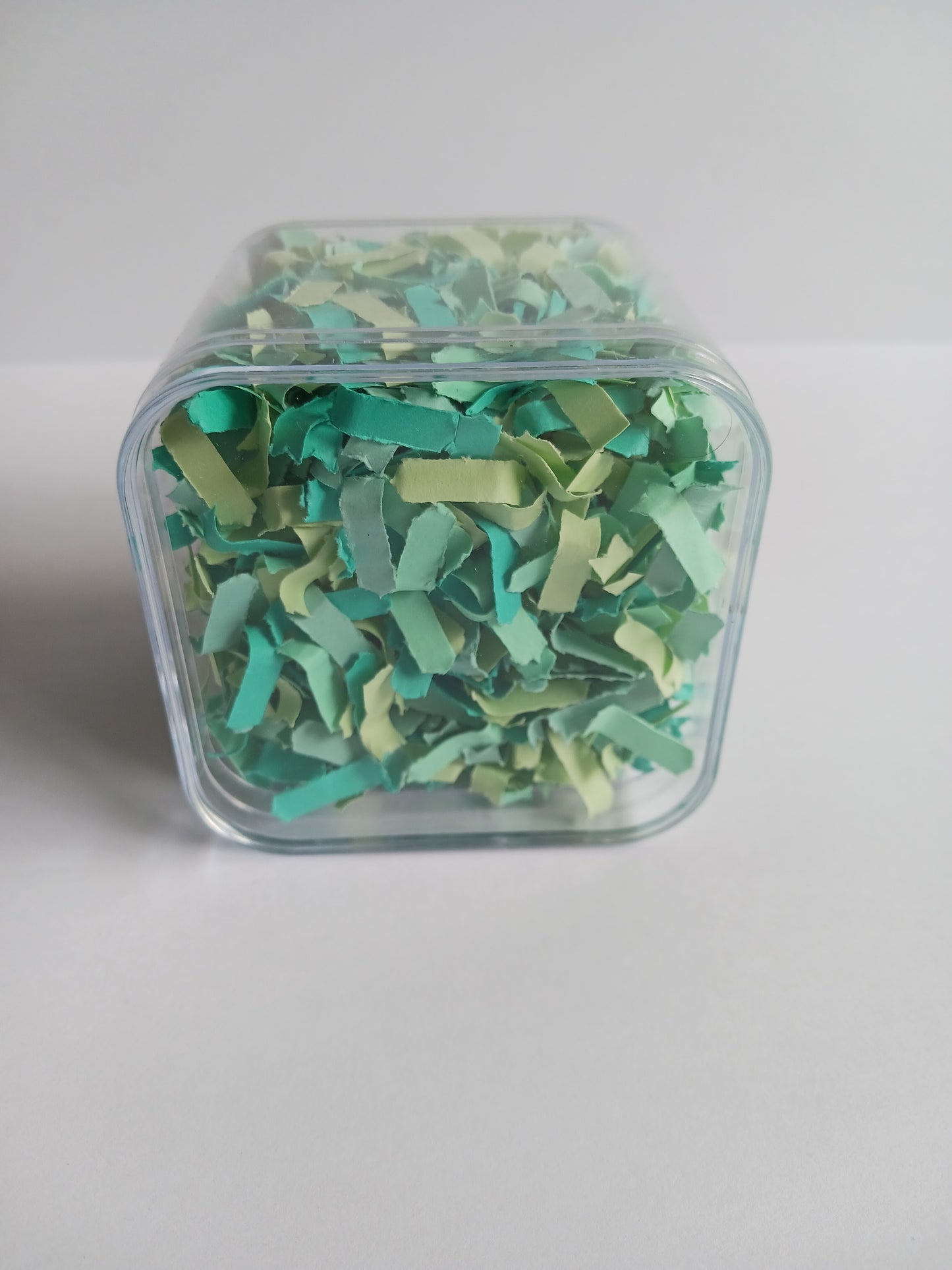 Celebration Capsule | Serene Sea Green | Confetti