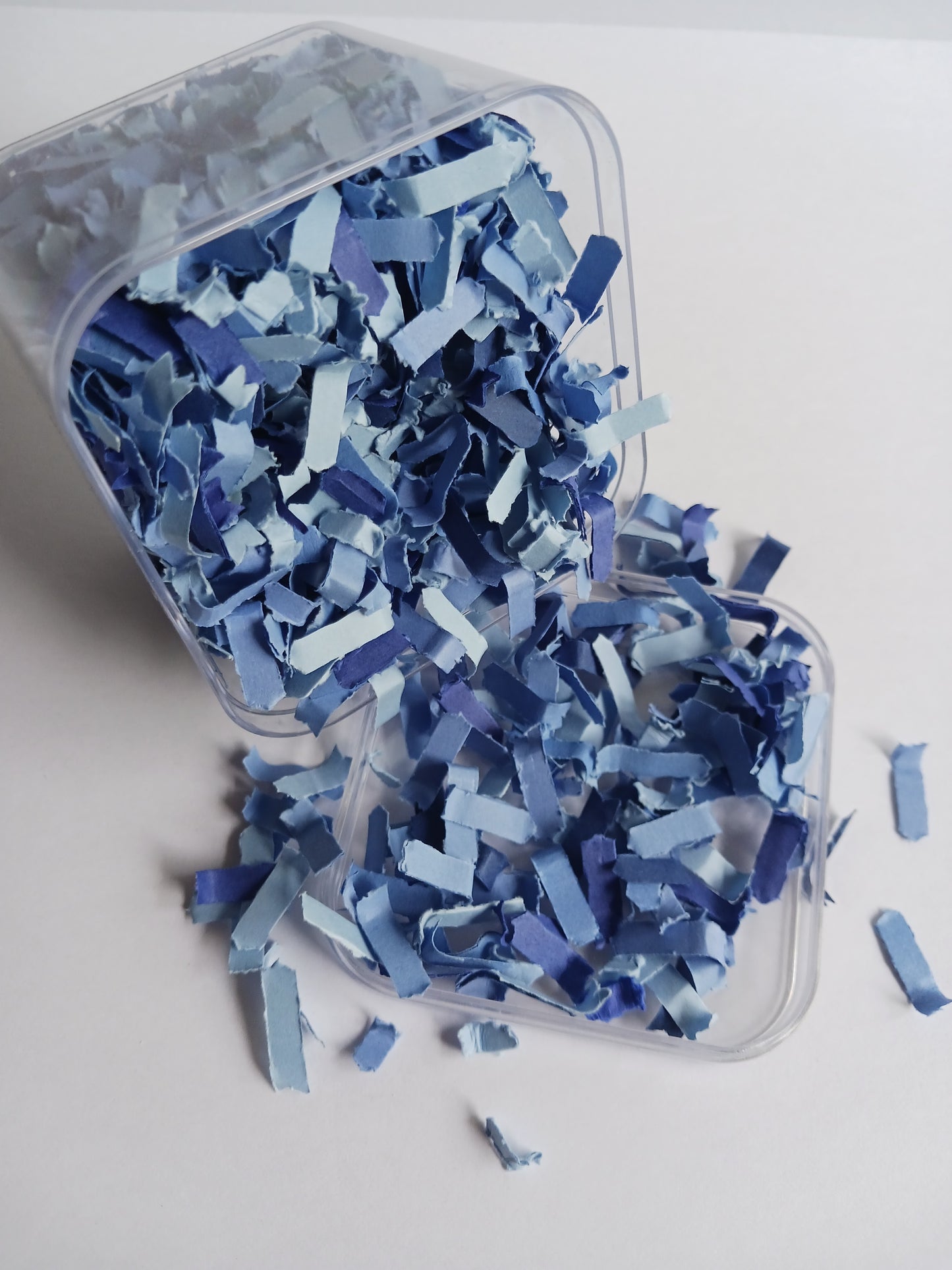Celebration Capsule  | Blissful Blues | Confetti